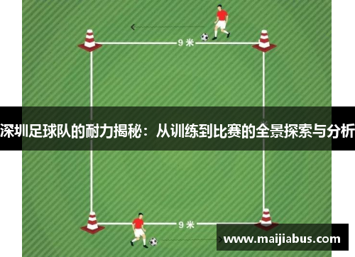 深圳足球队的耐力揭秘：从训练到比赛的全景探索与分析