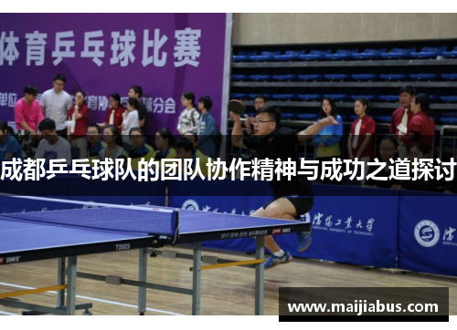 成都乒乓球队的团队协作精神与成功之道探讨