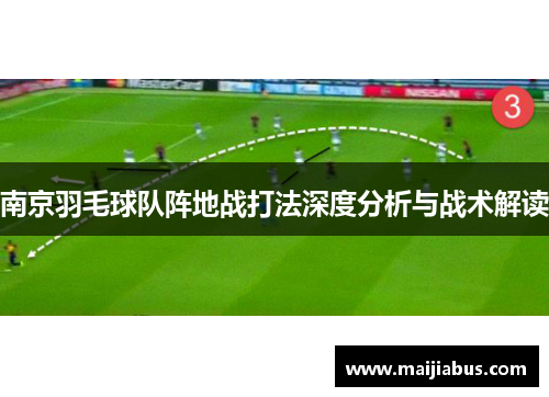 南京羽毛球队阵地战打法深度分析与战术解读